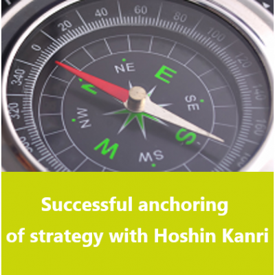 Hoshin-Kanri-strategy
