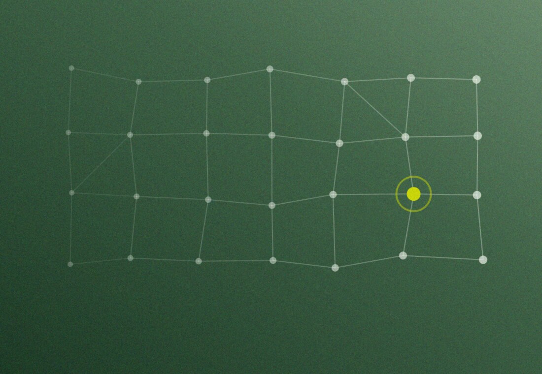 Einzelne Punkte verbinden sich zu einem durchgehenden, tragfähigen Netz aus Knoten und Linien