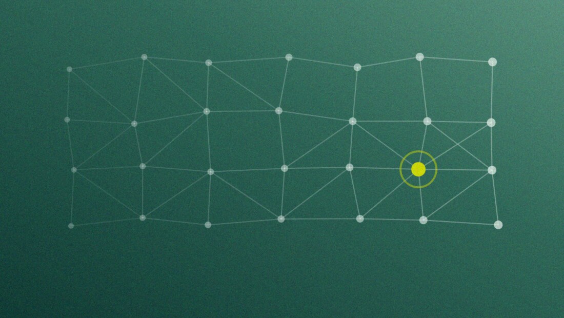 Einzelne Knoten verbinden sich zu einem durchgehenden, tragfähigen Netz